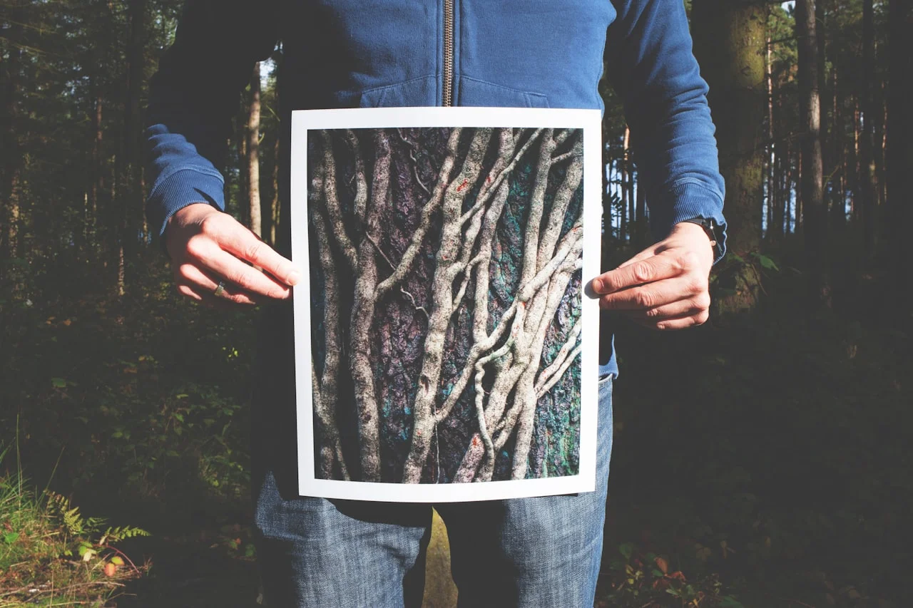 Osoba drži otisnutu fotografiju formata 30 × 40 cm u šumi
